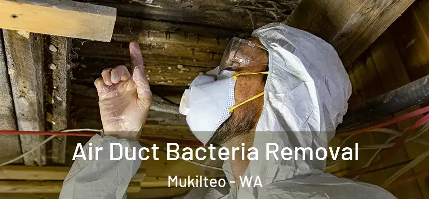 Air Duct Bacteria Removal Mukilteo - WA