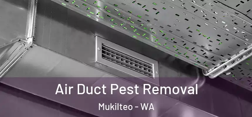 Air Duct Pest Removal Mukilteo - WA