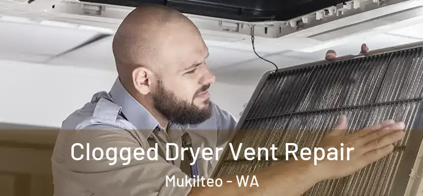  Clogged Dryer Vent Repair Mukilteo - WA