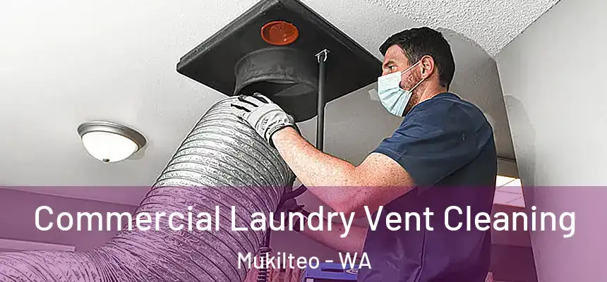  Commercial Laundry Vent Cleaning Mukilteo - WA