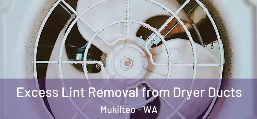  Excess Lint Removal from Dryer Ducts Mukilteo - WA