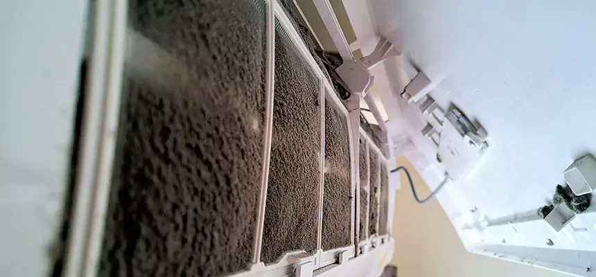 Preventive Air Duct Bacteria Removal in Mukilteo