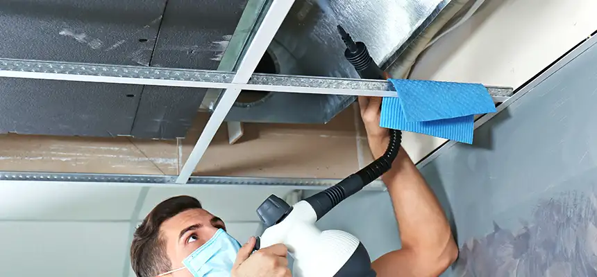 Our Air Duct Rodent Removal Services in Mukilteo, WA