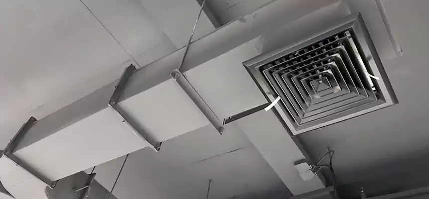 Restorative Allergy Relief Vent Cleaning – Coil, Blower & Housing Detail in Mukilteo