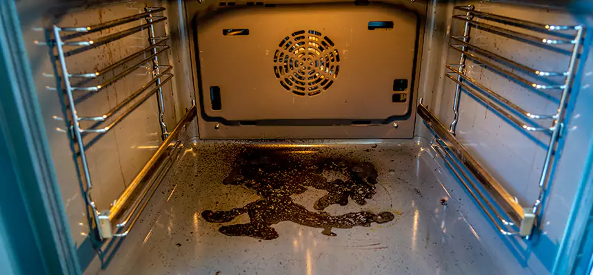 Our Dryer Vent Mold Cleaning Services in Mukilteo, WA