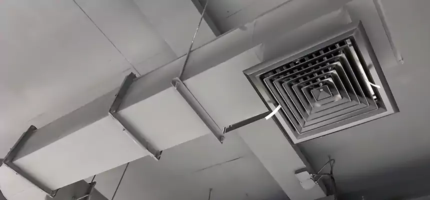 Our Pest Removal From Ducts Services in Mukilteo, WA