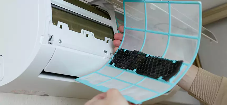 Gentle Ductwork Odor-Control Pet Dander Duct Cleaning in Mukilteo, WA