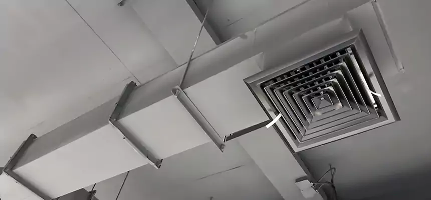 Our Rodent Droppings In Vents Services in Mukilteo, WA