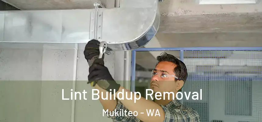  Lint Buildup Removal Mukilteo - WA