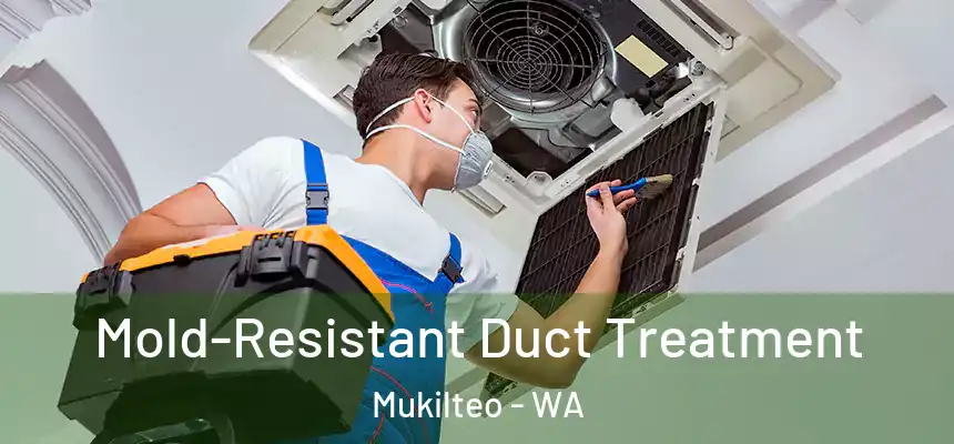 Mold-Resistant Duct Treatment Mukilteo - WA