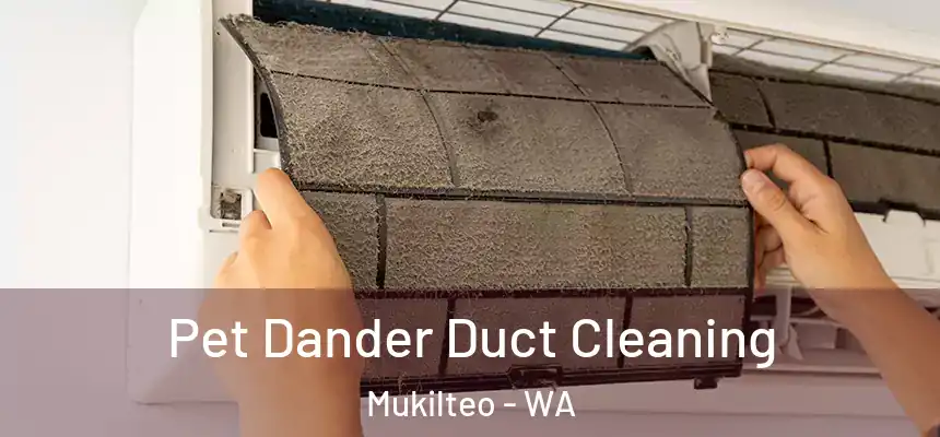  Pet Dander Duct Cleaning Mukilteo - WA