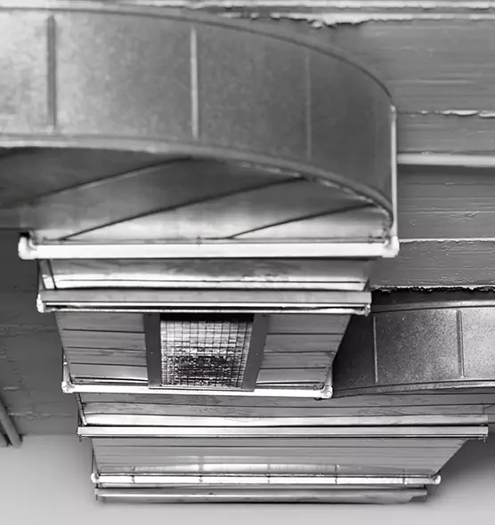 Professional Air Duct Pest Removal in Mukilteo, WA