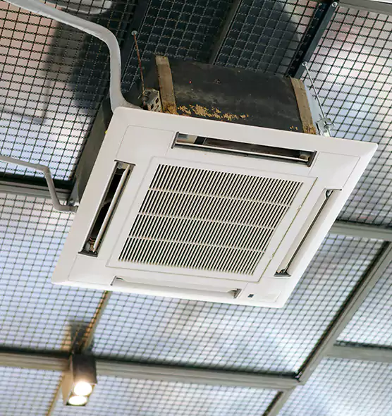 Top-Notch Allergy Relief Vent Cleaning Services in Mukilteo, WA