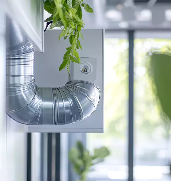 Professional Eco-Safe Dryer Vent Cleaning in Mukilteo, WA