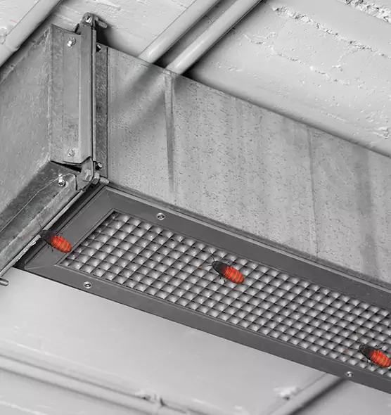 Affordable Insect Removal from Air Ducts in Mukilteo, WA