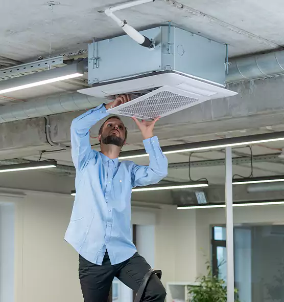Advanced Rodent Droppings In Vents in Mukilteo, WA
