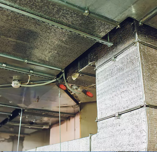 Why Homeowners & Businesses Trust Us in Mukilteo, WA?