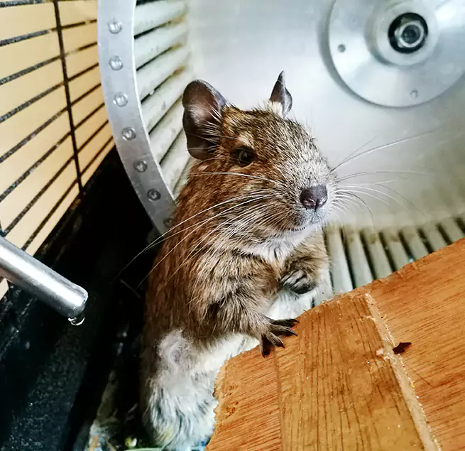 Why Homeowners & Businesses Trust Us Mukilteo, WA