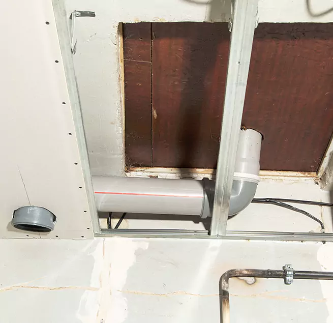 Why Homeowners & Businesses Trust Us in Mukilteo, WA?