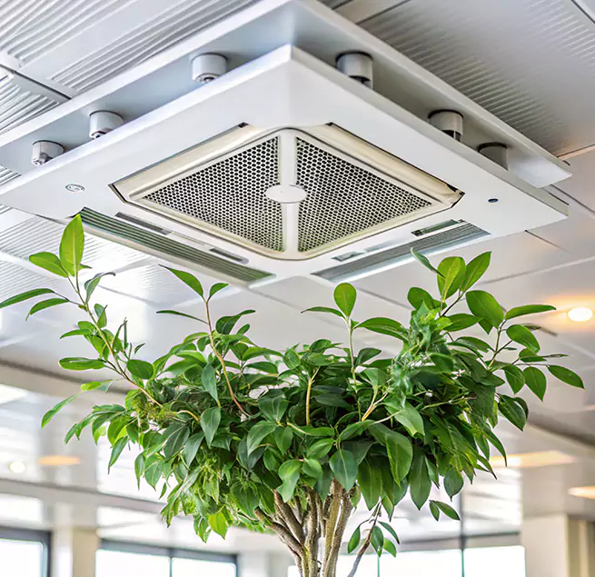 Why Homeowners & Businesses Trust Us in Mukilteo, WA