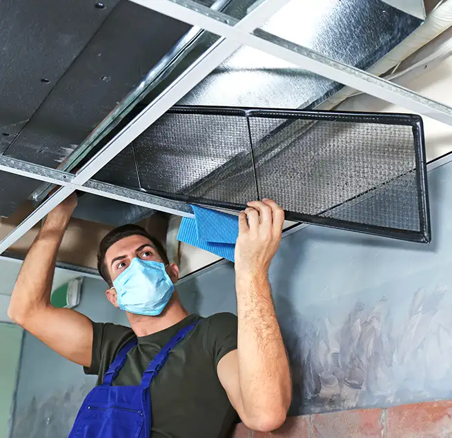 Why Homeowners & Businesses Trust Us in Mukilteo, WA?