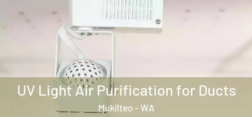 UV Light Air Purification for Ducts Mukilteo - WA